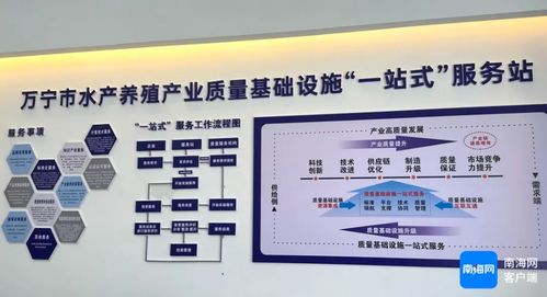 萬(wàn)寧市水產(chǎn)養(yǎng)殖產(chǎn)業(yè)質(zhì)量基礎(chǔ)設(shè)施一站式服務(wù)站揭牌成立，開啟證照代辦服務(wù)新篇章